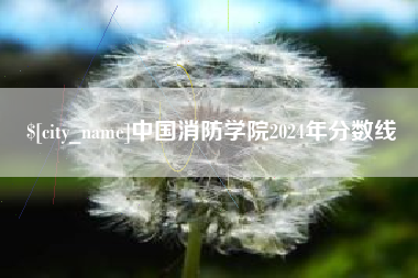 宁津中国消防学院2024年分数线