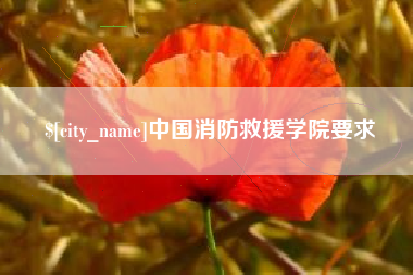 宁津中国消防救援学院要求