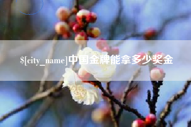 宁津中国金牌能拿多少奖金
