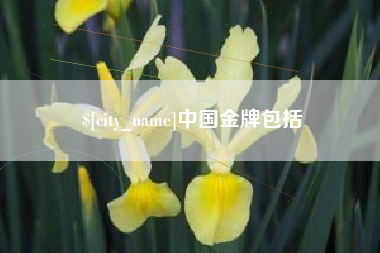 宁津中国金牌包括