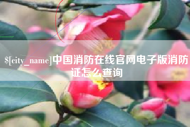 宁津中国消防在线官网电子版消防证怎么查询