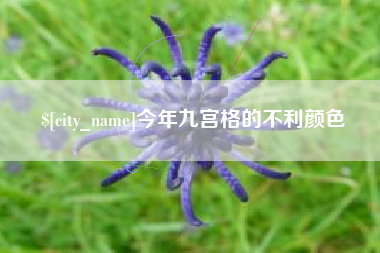 宁津今年九宫格的不利颜色