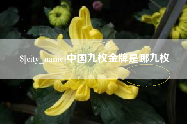 宁津中国九枚金牌是哪九枚