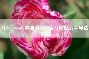 宁津中国消防网官方网站公众号达伦特