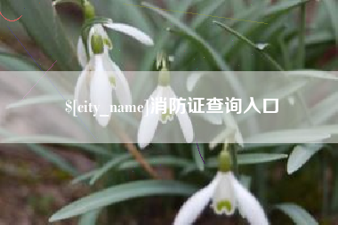宁津消防证查询入口