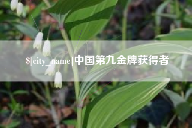 宁津中国第九金牌获得者