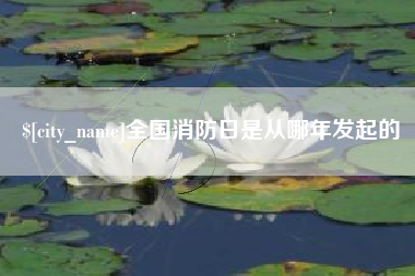 宁津全国消防日是从哪年发起的
