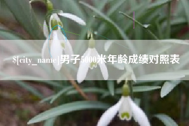 宁津男子5000米年龄成绩对照表