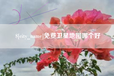 宁津免费卫星地图哪个好