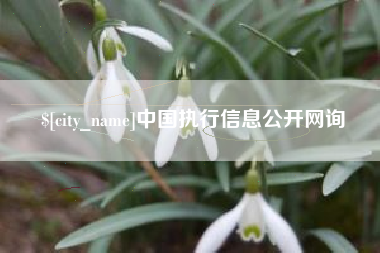 宁津中国执行信息公开网询