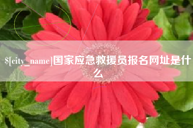 宁津国家应急救援员报名网址是什么
