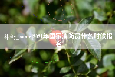 宁津2021年国家消防员什么时候报名