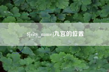 宁津九宫的位置