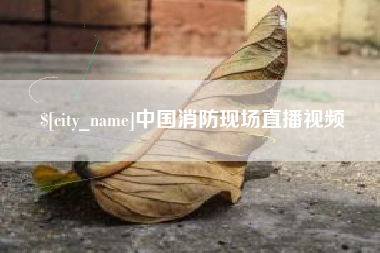 宁津中国消防现场直播视频
