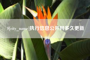 宁津执行信息公开网多久更新