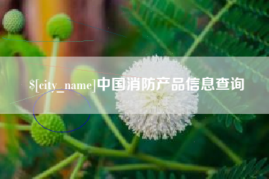 宁津中国消防产品信息查询
