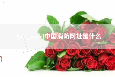 宁津中国消防网址是什么