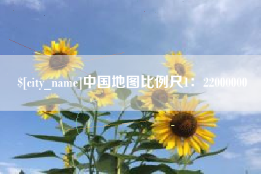 宁津中国地图比例尺1：22000000