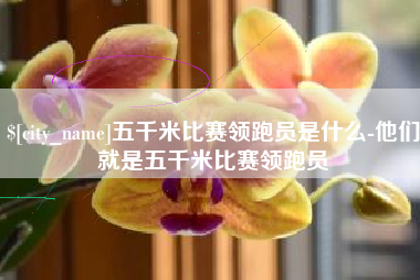 宁津五千米比赛领跑员是什么-他们就是五千米比赛领跑员