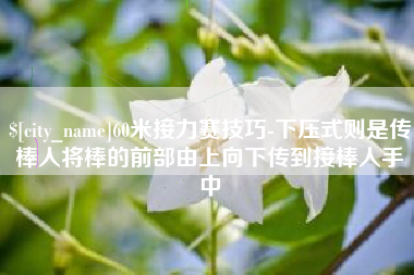 宁津60米接力赛技巧-下压式则是传棒人将棒的前部由上向下传到接棒人手中