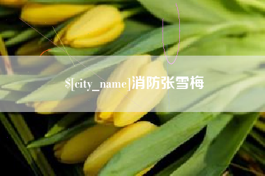 宁津消防张雪梅
