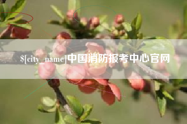 宁津中国消防报考中心官网