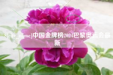 宁津中国金牌榜2024巴黎奥运会最新