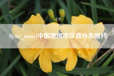 宁津中国地图市区县分布图片