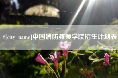 宁津中国消防救援学院招生计划表