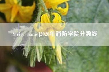 宁津2020年消防学院分数线