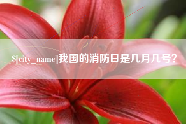 宁津我国的消防日是几月几号？