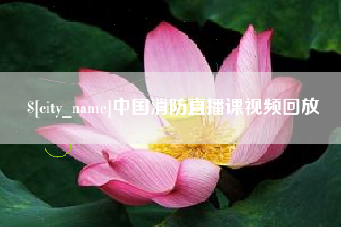 宁津中国消防直播课视频回放