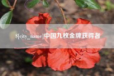 宁津中国九枚金牌获得者