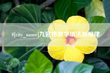 宁津九宫格数字填法和规律