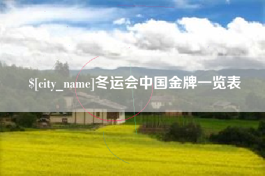 宁津冬运会中国金牌一览表