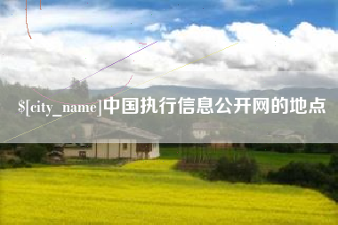 宁津中国执行信息公开网的地点