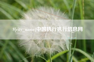 宁津中国执行执行信息网