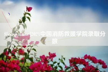 宁津2021中国消防救援学院录取分数