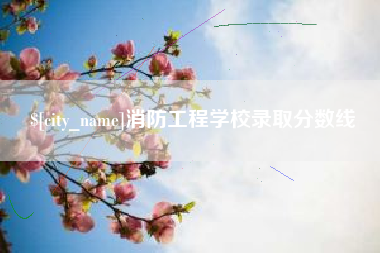 宁津消防工程学校录取分数线