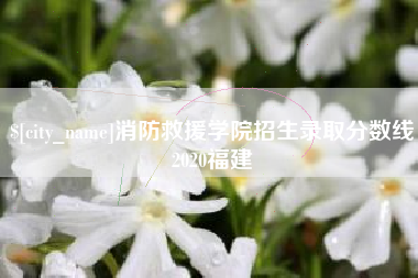 宁津消防救援学院招生录取分数线2020福建