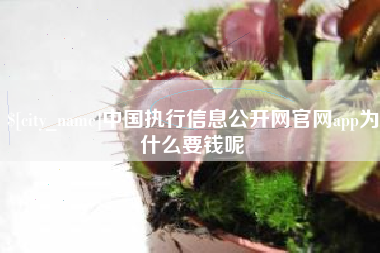 宁津中国执行信息公开网官网app为什么要钱呢