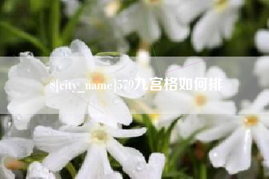 宁津579九宫格如何排