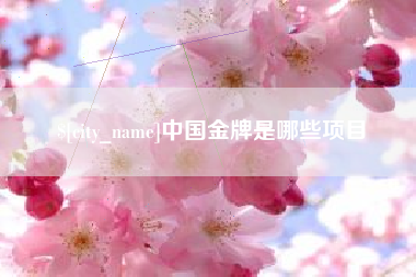 宁津中国金牌是哪些项目