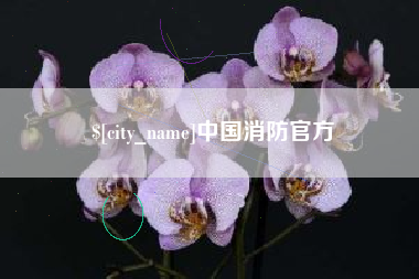 宁津中国消防官方