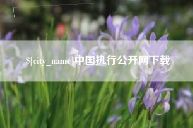 宁津中国执行公开网下载