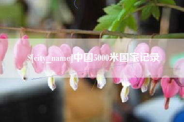 宁津中国5000米国家记录