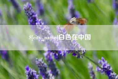 宁津白色在中国