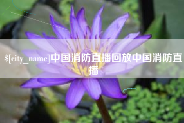 宁津中国消防直播回放中国消防直播