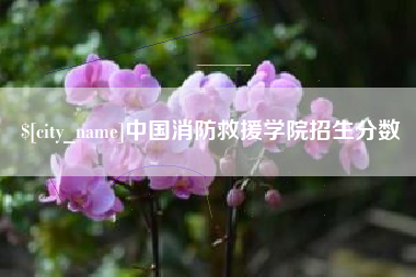 宁津中国消防救援学院招生分数