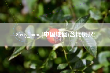宁津中国地图(含比例尺)
